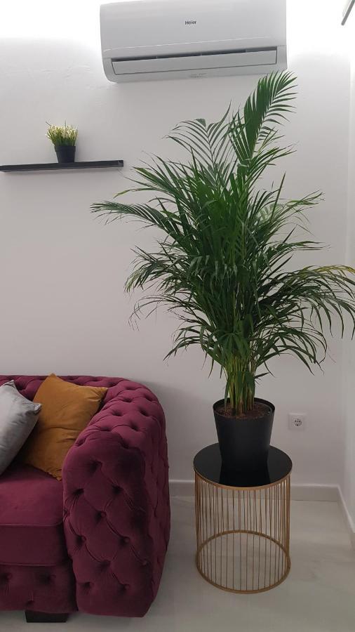 Pepi Puerto (adults Only) Apartment